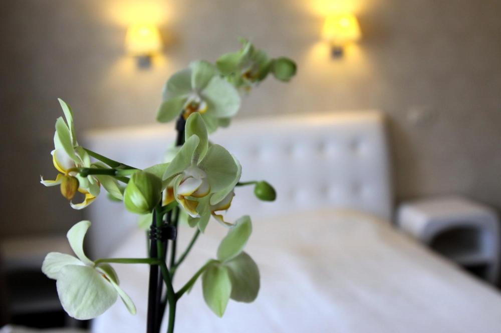 Hotel Felicia Riga Esterno foto